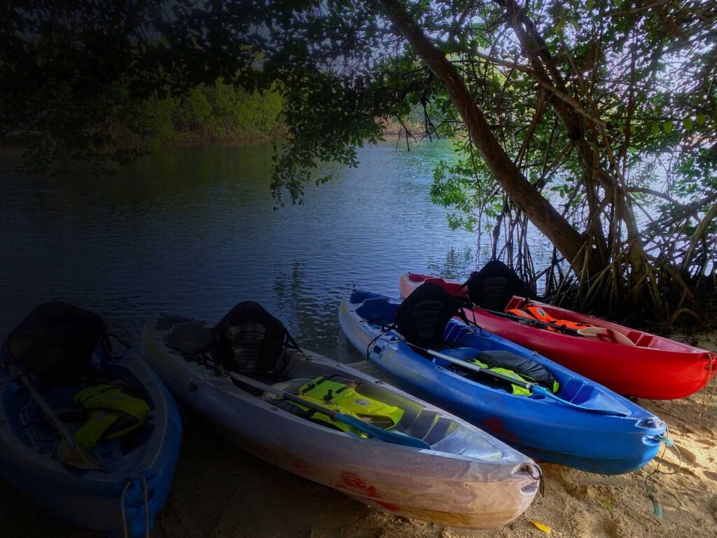 Kayaks pulled up at the edge of Freshwater Creek Lagoon, Hopkins