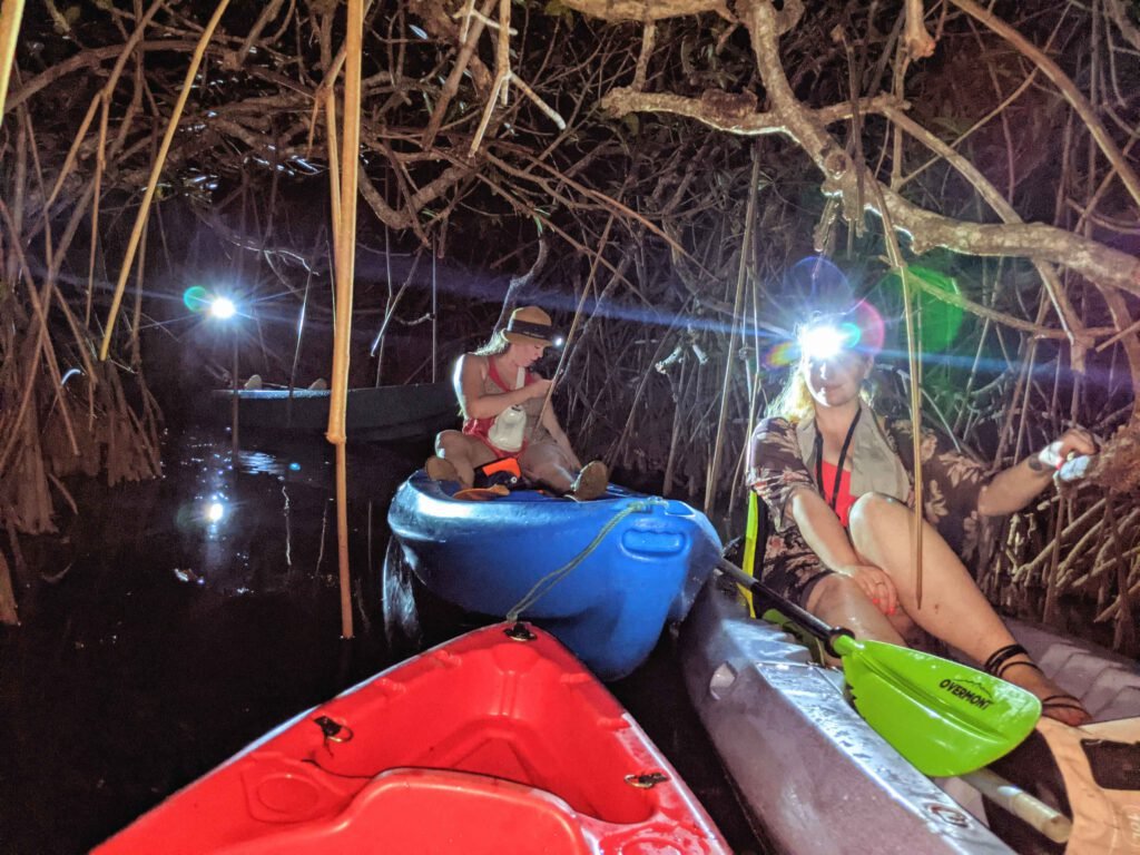 Kayakers with headlamps among the mangroves on the bioluminescent lagoon at night, Hopkins, Belize