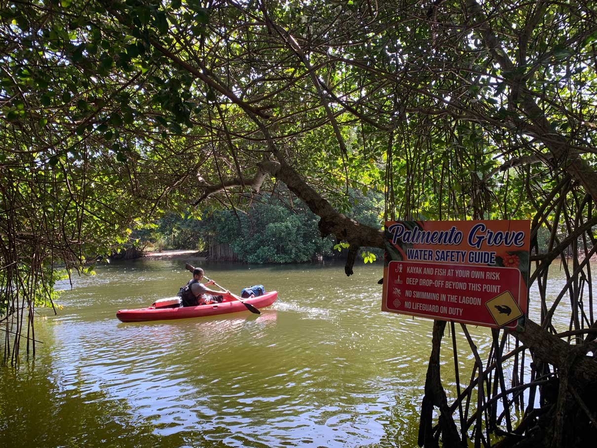 Kayaker passing the Palmento Grove sign under the mangroves on the lagoon, Hopkins, Belize