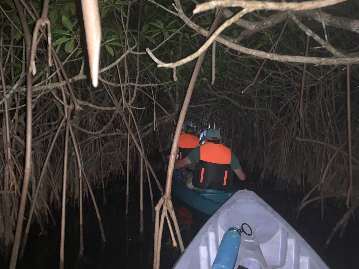 Kayakers in life vests among the mangroves at night on the bioluminescent lagoon, Hopkins, Belize
