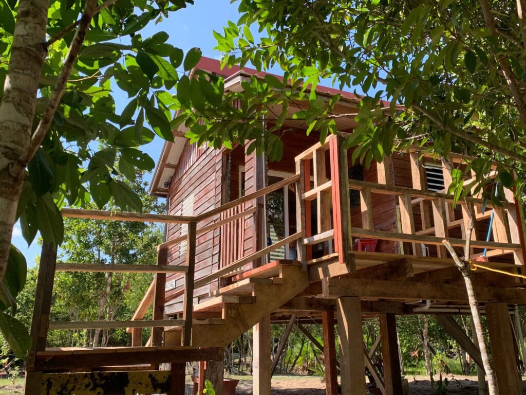 A guest cabin on stilts among the trees at Palmento Grove, Hopkins, Belize