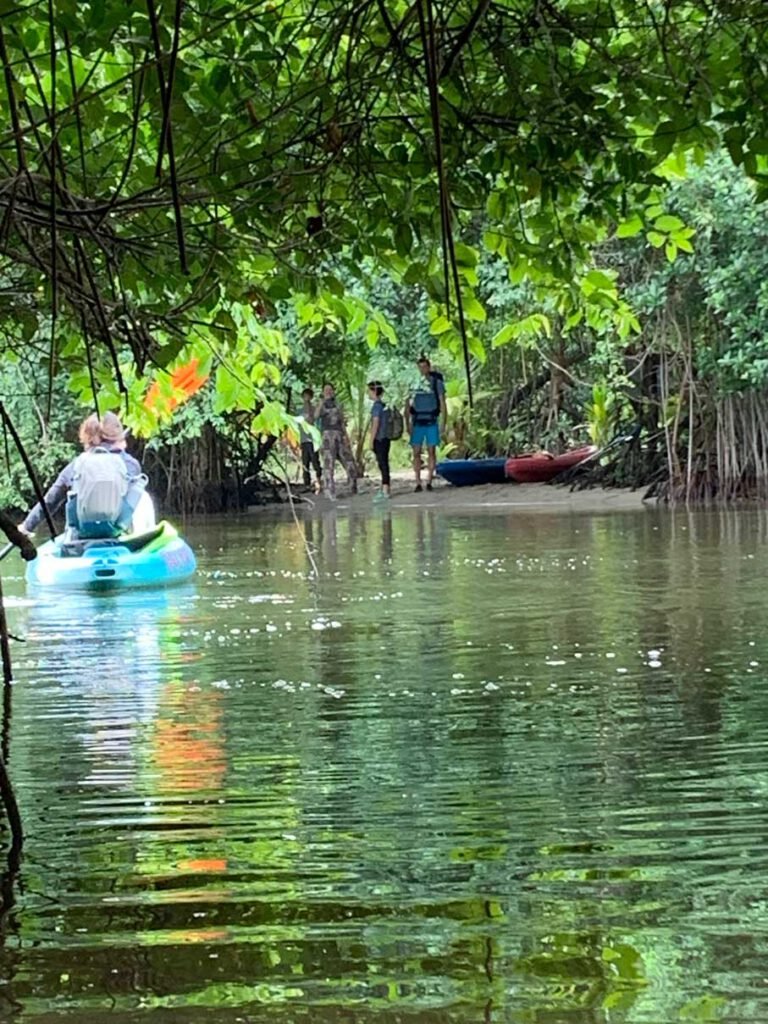 Kayaker paddling a shaded mangrove channel near Hopkins, Belize