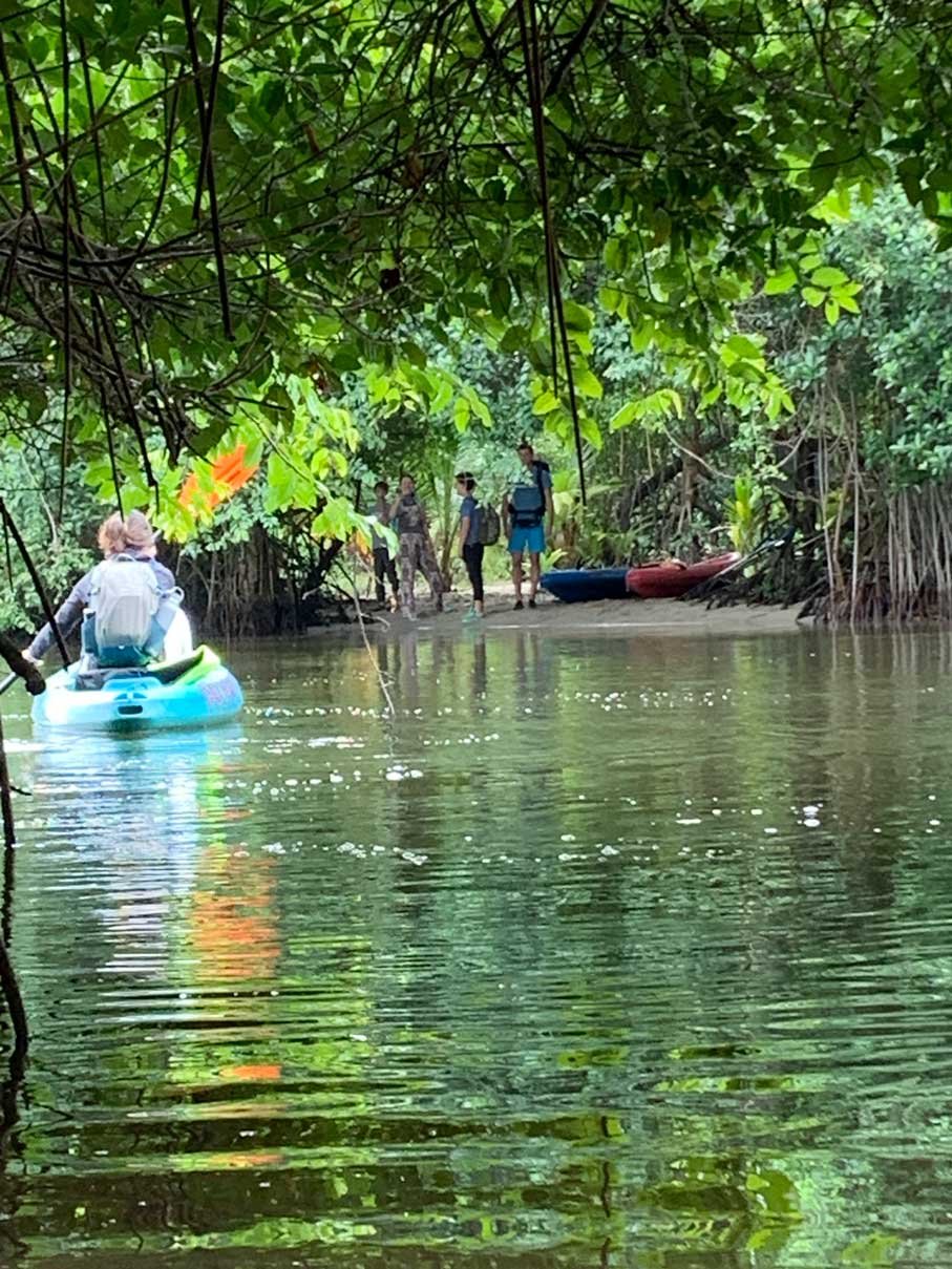 Kayaker paddling a shaded mangrove channel near Hopkins, Belize