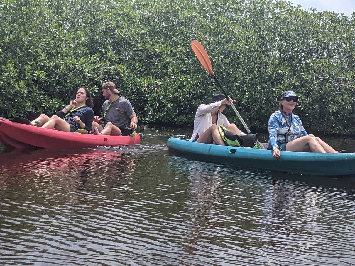 Group of kayakers paddling together on Fresh Water Creek Lagoon, Hopkins, Belize
