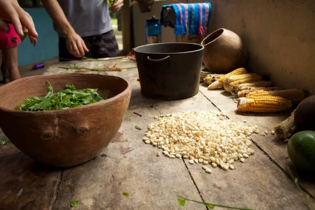 Cassava leaves, dried corn and a clay pot on a wooden table in a Maya kitchen, Belize