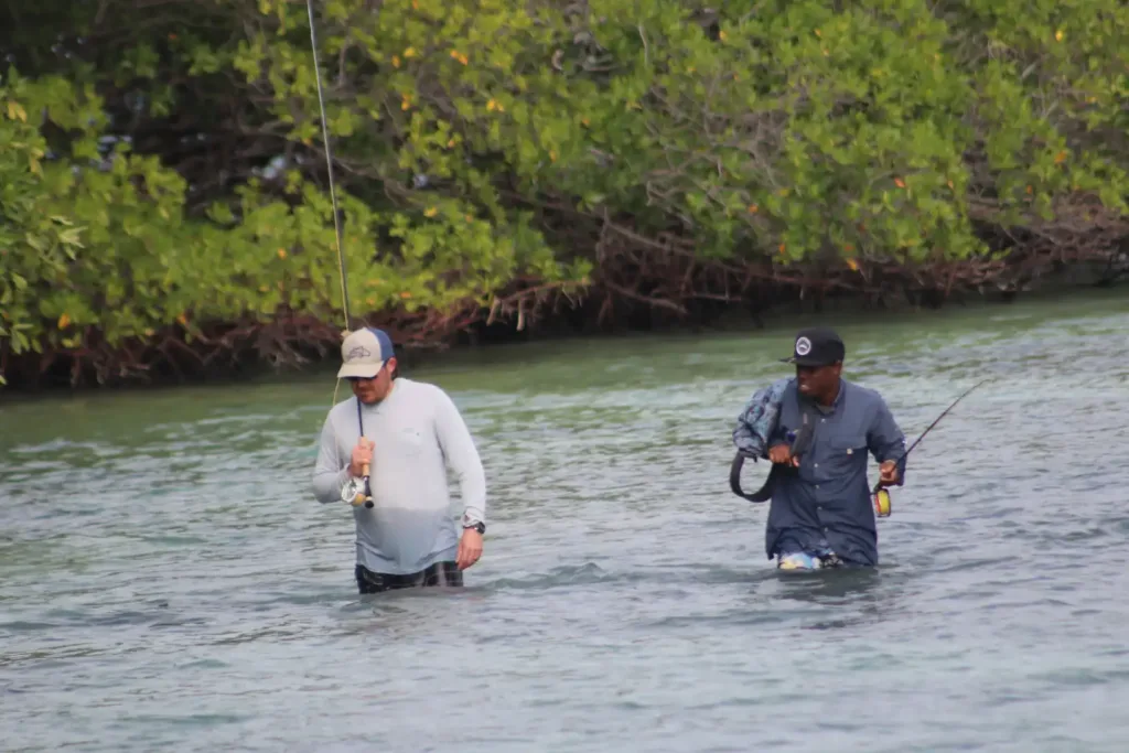Two anglers wading the mangrove shallows with rods near Hopkins, Belize