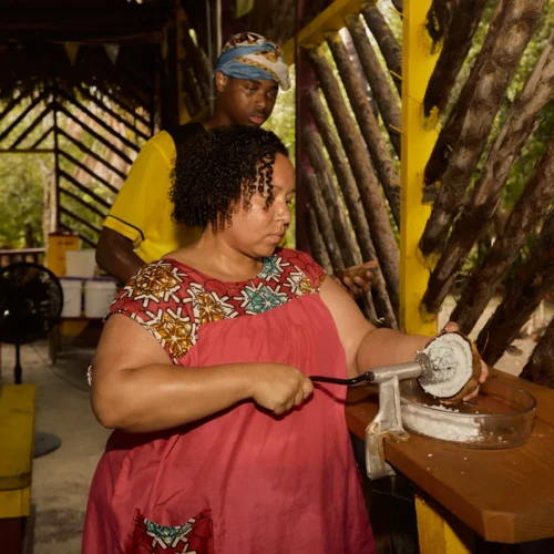 Guest grating cassava on a board during a Garifuna cooking class at Palmento Grove, Hopkins, Belize