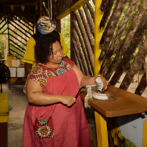 Garifuna cooking class at Palmento Grove, Hopkins, Belize