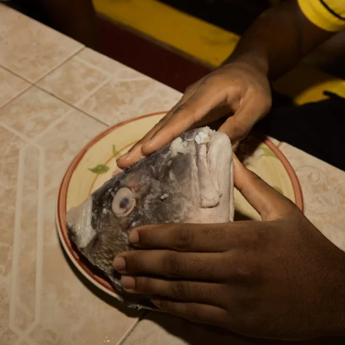 Hands working over a bowl in the cultural kitchen at Palmento Grove