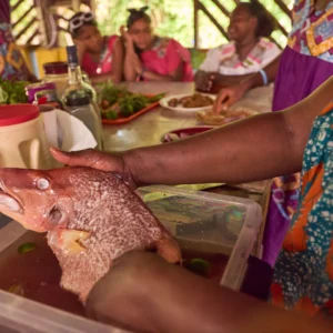 A whole red snapper being prepared for the midday meal at Palmento Grove, Hopkins, Belize