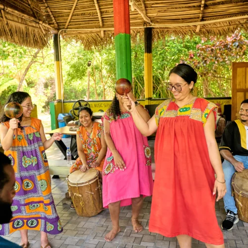 Garifuna dancing in the drum pavilion at Palmento Grove, Hopkins, Belize