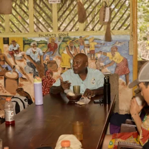 Guests sharing a communal meal with fresh coconuts at Palmento Grove, Hopkins, Belize