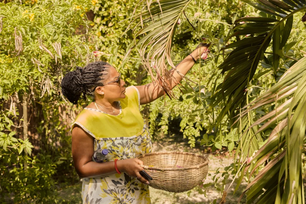 Gathering herbs and flowers into a woven basket in the garden at Palmento Grove, Hopkins, Belize