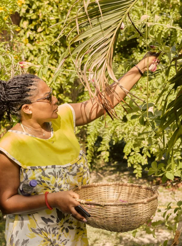 Gathering herbs and flowers into a woven basket in the garden at Palmento Grove, Hopkins, Belize