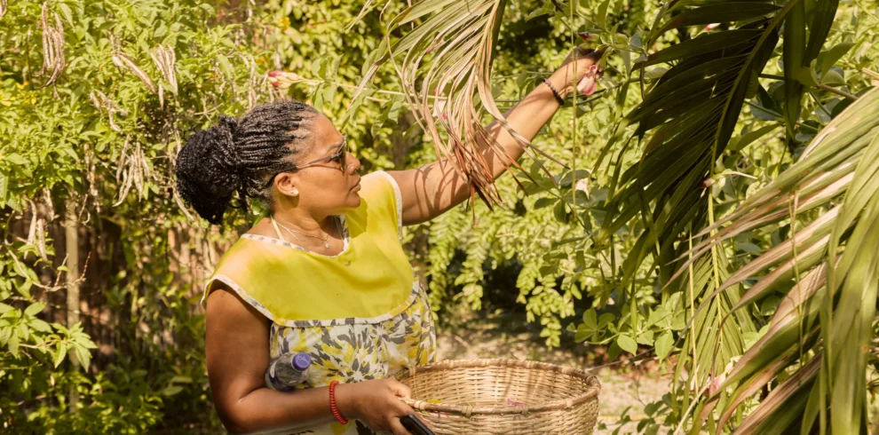 Gathering herbs and flowers into a woven basket in the garden at Palmento Grove, Hopkins, Belize