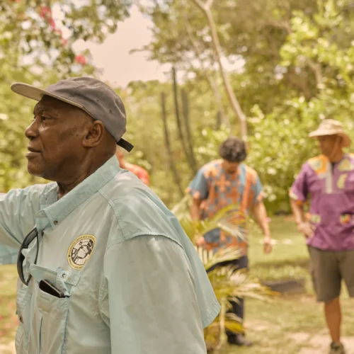 Garden and herbal tour at Palmento Grove, Hopkins, Belize
