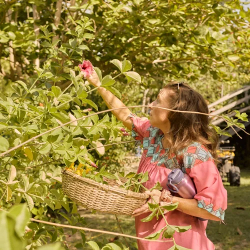 Garden and herbal tour at Palmento Grove, Hopkins, Belize