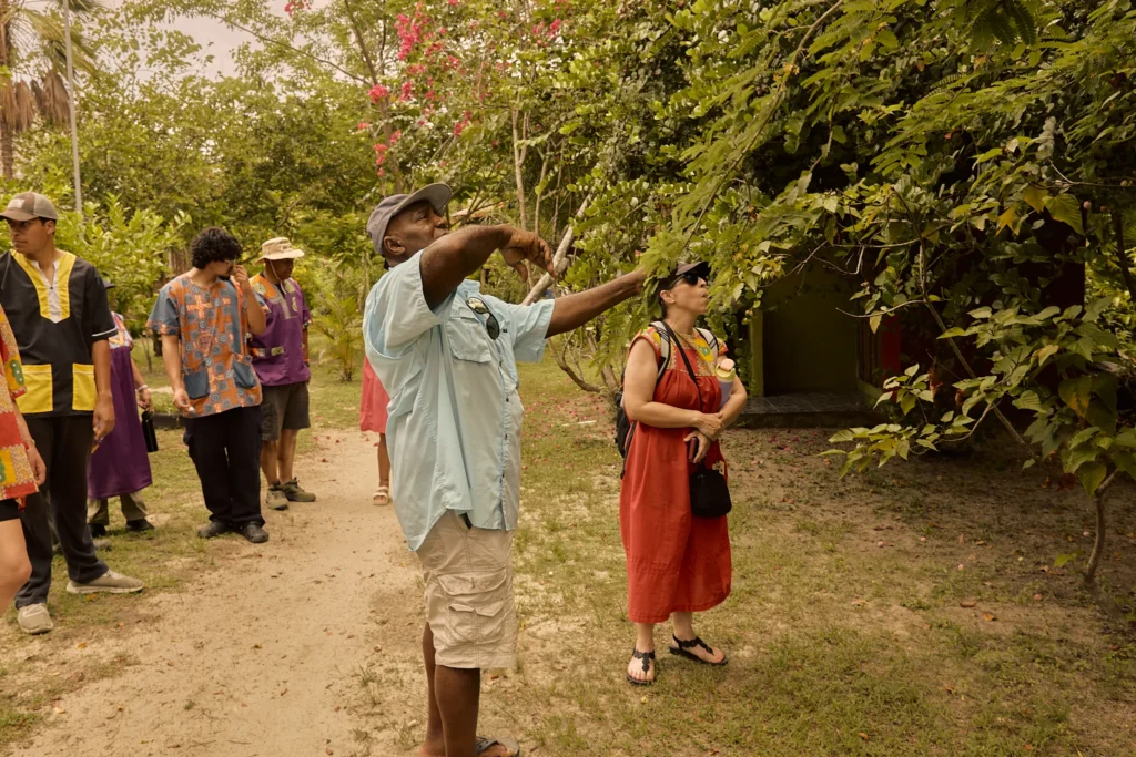 A guide pointing out plants to guests on the garden and herbal tour at Palmento Grove, Hopkins, Belize