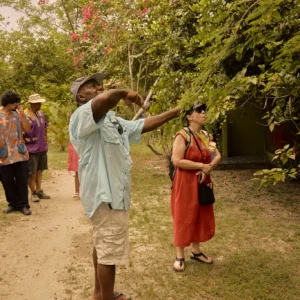 A guide pointing out plants to guests on the garden and herbal tour at Palmento Grove, Hopkins, Belize