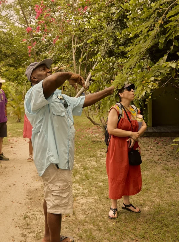A guide pointing out plants to guests on the garden and herbal tour at Palmento Grove, Hopkins, Belize