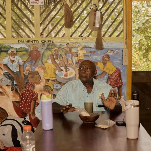 A Garifuna elder speaking with visitors at Palmento Grove, Hopkins, Belize